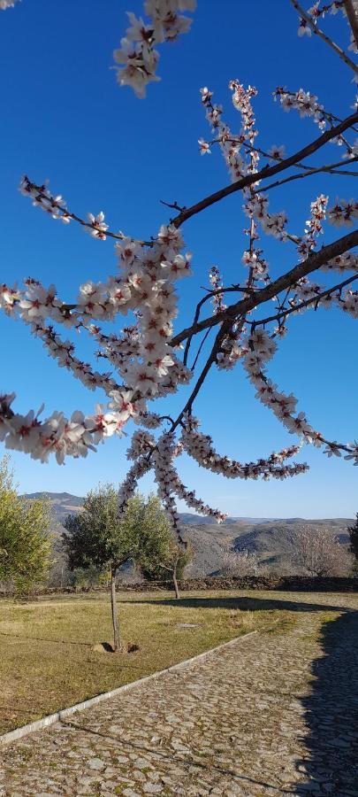 Vila Quinta Alto Da Fraga Vila Nova de Fozcoa Exteriér fotografie