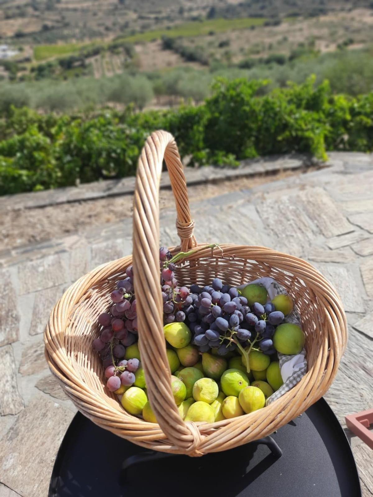 Vila Quinta Alto Da Fraga Vila Nova de Fozcoa Exteriér fotografie